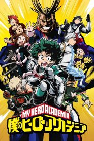 Boku no Hero Academia Temporada 1