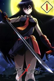Akame ga Kill Temporada 1