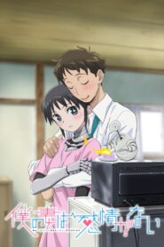 Boku no Tsuma wa Kanjou ga Nai Temporada 1