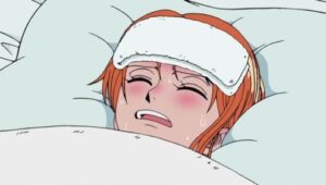 One Piece Episódio 80