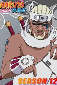 Naruto Shippuden Temporada 12