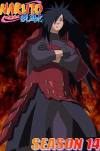 Naruto Shippuden Temporada 14