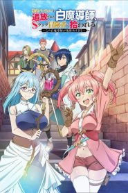 Yuusha Party wo Tsuihou sareta Shiromadoushi
